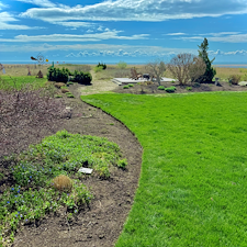 Weed-Edge-Mulch-Project-in-Milford-CT 4
